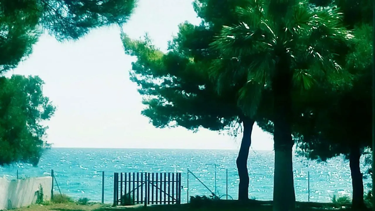 Seafront Villa Joan Nea Skioni